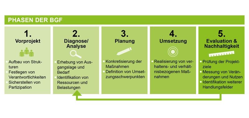 Grafische Darstellung der im Text beschriebenen Phasen der BGF