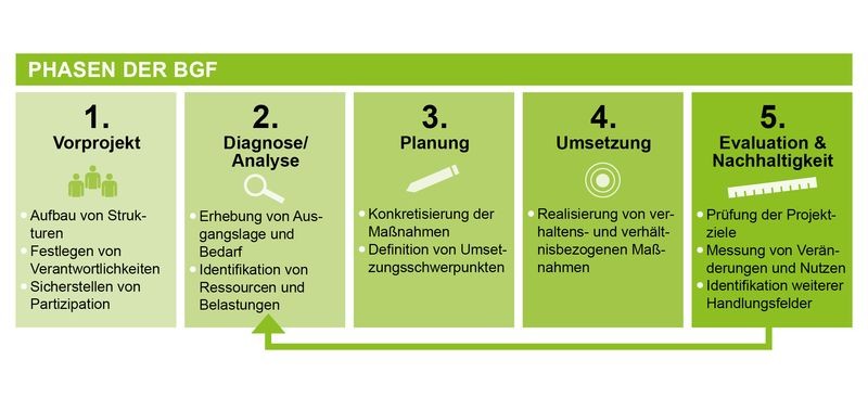 Grafische Darstellung der im Text beschriebenen Phasen der BGF