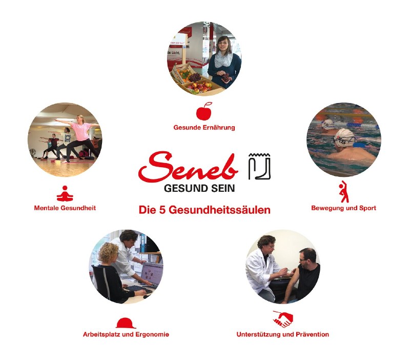 SENEB - das Gesundheitsprogramm bei IBK hat 5 Gesundheitssäulen: Gesunde Ernährung, Bewegung und Sport, Unterstützung und Prävention, Arbeitsplatz und Ergonomie, Mentale Gesundheit.