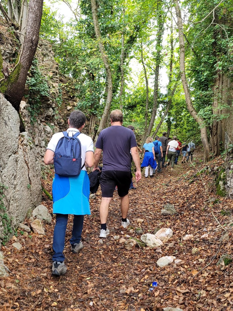 Mitarbeiter-Wanderung im Wald
