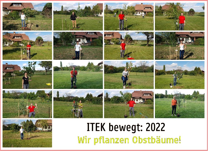 Baumpflanzen.jpg