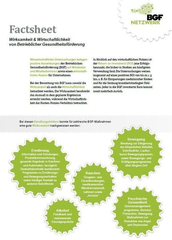 Deckblatt Factsheet Ökonomische Evaluierung