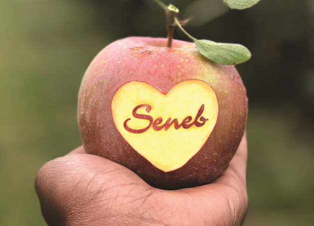 Ein Apfel mit der Aufschrift "Seneb" (=Projektname)